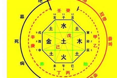 免費八字流年|生辰八字算命、五行喜用神查詢（免費測算）